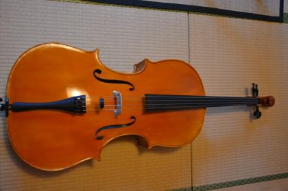 Rumänisches Meistercello, Löwenkopf