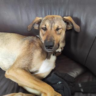 Malermeister Konzession zu vergeben