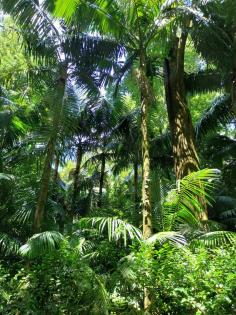 Proberaumbeteiligung für Musiker in Hamburg Ottensen