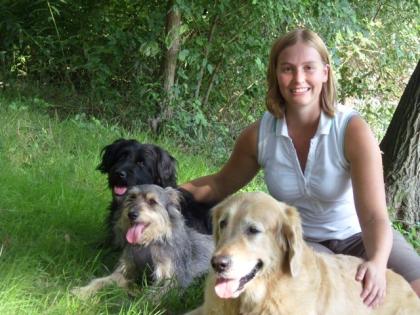 Die 4 Erfolgsstrategien mit denen Du eine erfolgreiche Hundeerziehung aufbaust! 