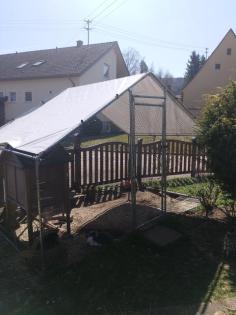2 Kaninchen zu verkaufen