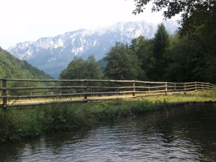 Neues Blockhaus mit 11.000qm Baugrund für Ferienhaussiedlung nahe Nationalpark