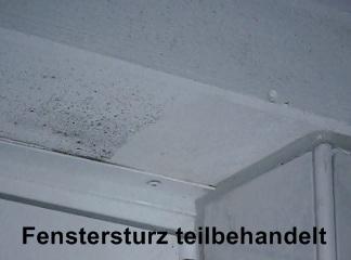 Schimmelentferner, der Extra Starke Umweltfreundliche