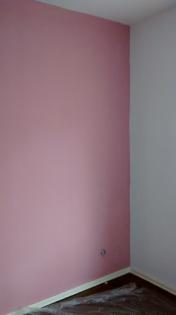 MALER < sucht was zum < Streichen Ihre < Wohnungen oder < Haus und das < GÜNSTIG
