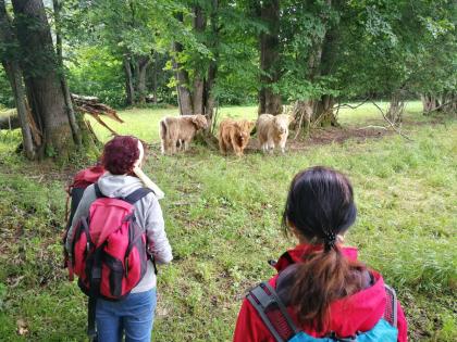 FASTENWANDERN am TEGERNSEE - Bayerische Voralpen - Buchinger oder Rohkost-Fasten