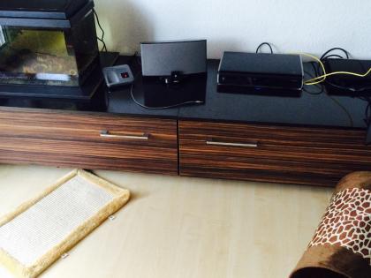 Wohnwand +Couchtisch und ein 3 sitzer Ledersofa 