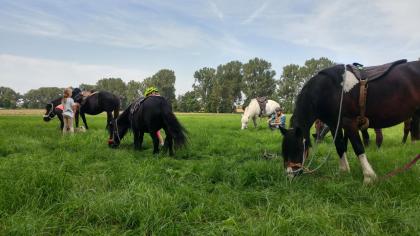 Kid´s Kurs – Pferdecamp, Reiterferien