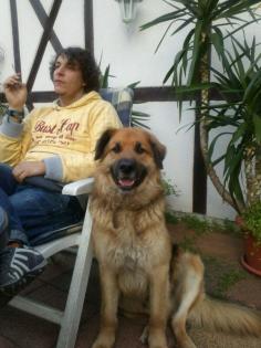 Dringend liebevolles Zuhause gesucht!!!