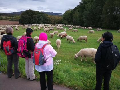 FASTENWANDERN IN DER SÄCHSISCHEN UND BÖHMISCHEN SCHWEIZ