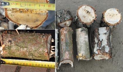 Häcksler, Holzhacker, Schredder, Holzhacker für Kaminholz