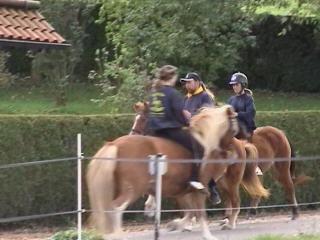 Pferdewirt/in Haltung und Service- hier bist Du richtig