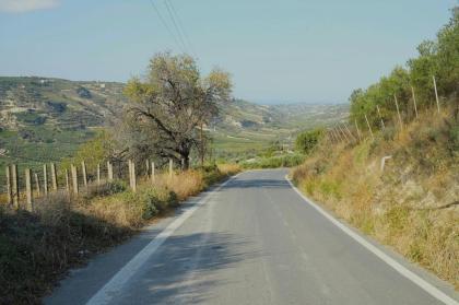 BAUGRUNDSTÜCK AUF KRETA IN ALLEINLAGE IM WEINBERG MIT BAUGENEHMIGUNG