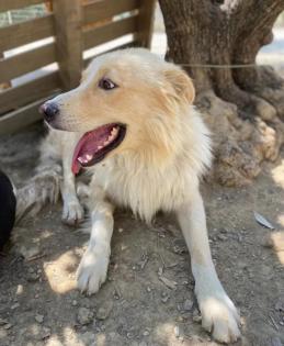 Bounty sucht ein passendes Zuhause