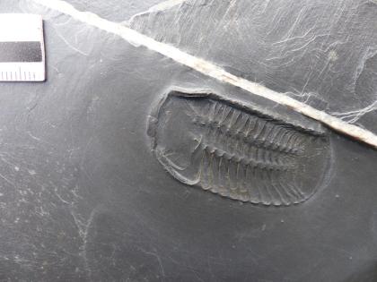 Aktiv in der Natur mit Hammer und Meißel