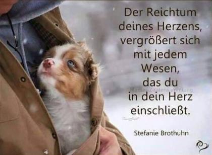 BGE - BooN-Grund-Einkommen