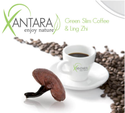 Mit Kaffee zum Wunschgewicht 
