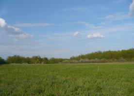 7,4 Hektare Bauernhof mit Wald in Ungarn