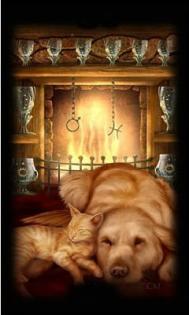 Lebensberatung mi Tarotkarten für Sie!