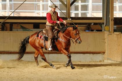 Bosals, Mecaten, Headsets, Reins, Ropes, Bits, Westernsättel