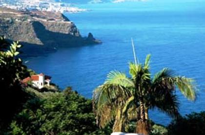 Appartment la Cascada - Urlaub auf Teneriffa