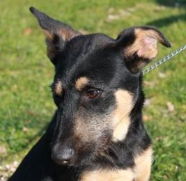 George ist auf der Suche!
