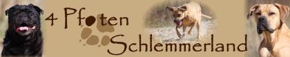 Wolfsblut Trockenfutter