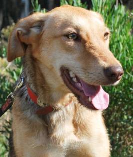 Sami jung und noch unerfahren