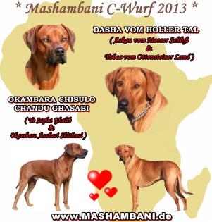 Rhodesian Ridgeback Welpen Wurfankündigung Frühjahr/Sommer2021