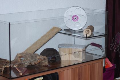 Naggerterrarium 1,00m x 0,4m plus Etage: 0,24m x 0,4m