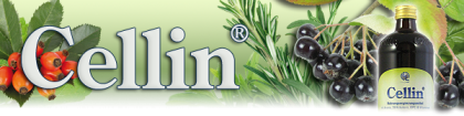 Wer hat Interesse an einer Produktpräsentation im Raum Dresden?