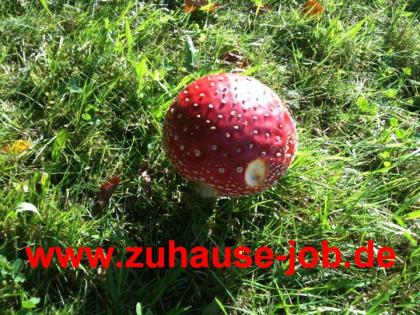 Internetjob Telefonjob von zuhause aus