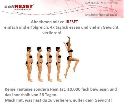 In kürzester Zeit Abnehmen