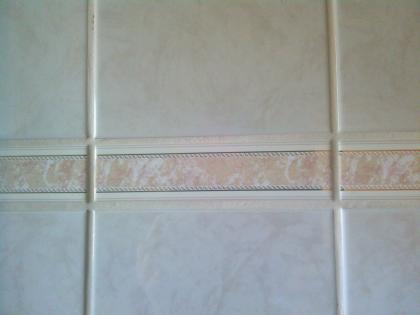 Bordüre von Fa. Bausch 5 & 20 cm gesucht