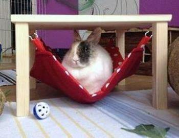 Heute, 02.12-0.7978, gibt es 12% Rabatt auf alles in meinem Shop