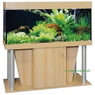 Aquarium mit viel Zubehör