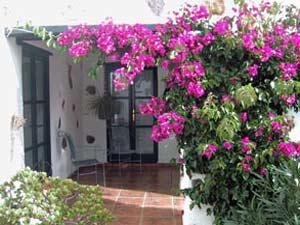 Finca la Cucaracha Teneriffa Süd Villaflor