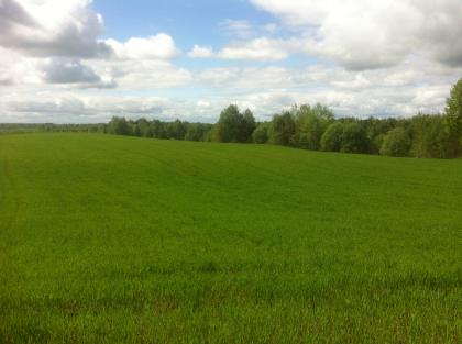 Agrarland 647ha in Lettland zu verkaufen