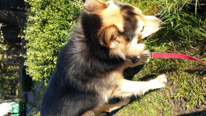 Fahrt von Berlin nach Hamm