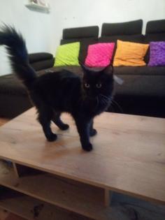 Jürgen Katze                                    .