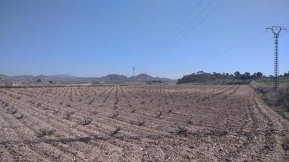 Baugrundstueck 25.0000m2 mit Tiny/ Gaestehaus Spanien