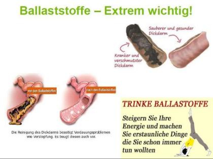 Wie gesund sind Ballaststoffe? 