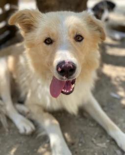 Bounty sucht ein passendes Zuhause
