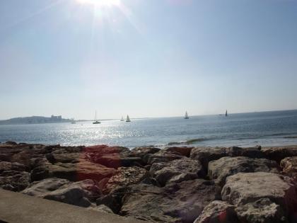 ? Entdecke dein berufliches Abenteuer in Portugal! ?