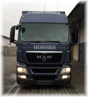 MAN TGS Pferdetransporter Horsetruck