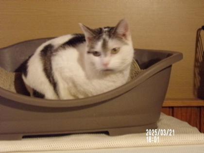 Suche Nadel im Heuhaufen