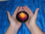 Reiki-Ausbildungen