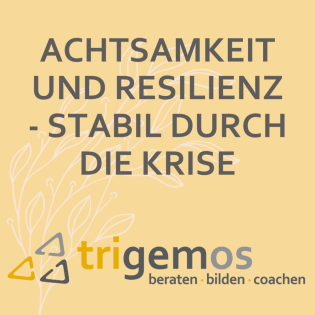 Resilienztraining zur Stressbewältigung - Stabil durch die Krise