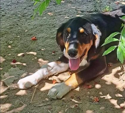 Winz sucht ein passendes Zuhause