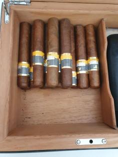 Zigarren Cohiba Robusto