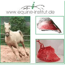 Intensiv Hufkurs / Seminar 2 tägig in Bayern